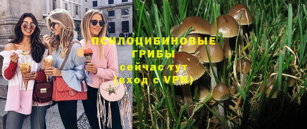 соль ск Алексин
