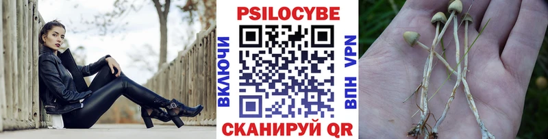 кракен ссылки  Балаково  Псилоцибиновые грибы мицелий 